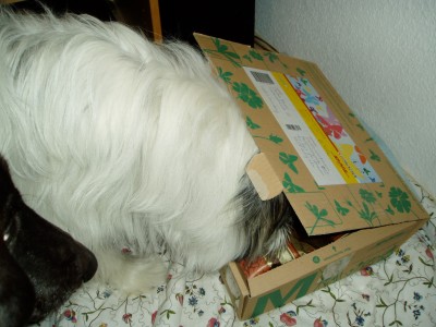 Rya und Sam 022.JPG