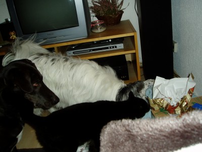 Rya und Sam 039.JPG