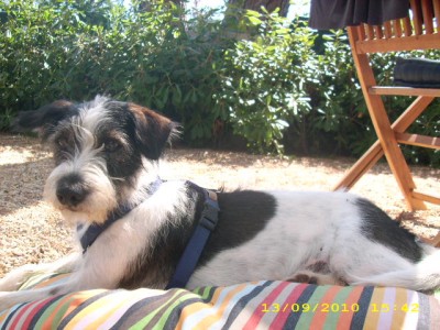 italia 2010 060.jpg