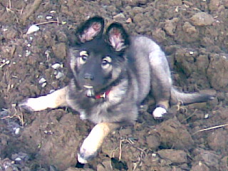 Bild039.jpg