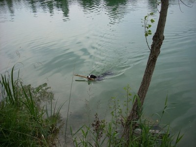 Kirahasi mit stecki.jpg