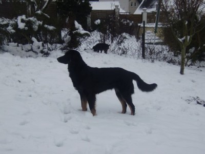 Aica Schnee 009.JPG