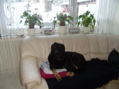 Aica Schnee 047.JPG