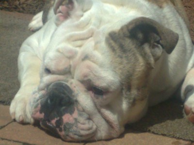 060820103166.jpg