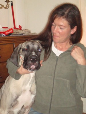 momo, lennox, anton 2011 116.JPG