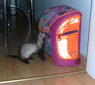 BILD1561.JPG