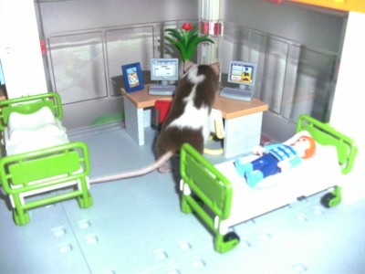 BILD1688.JPG
