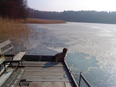 DSCF0007.jpg