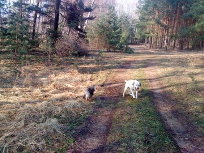 DSCF0008 - Kopie.jpg