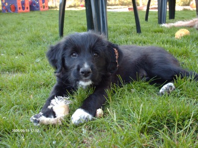 HPIM1666.JPG (1004.13 KiB) 3571-mal betrachtet HPIM1666.JPG