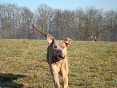 lennox. lou & co 032 - Kopie.JPG