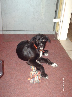 WAS.JPG (929.49 KiB) 3569-mal betrachtet WAS.JPG