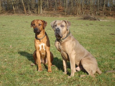 lennox. lou & co 114 - Kopie.JPG