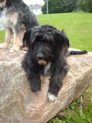 HPIM3355.JPG (1009.86 KiB) 3570-mal betrachtet HPIM3355.JPG