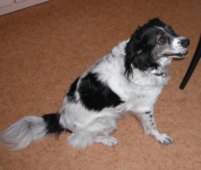 Marley 7-10.jpg