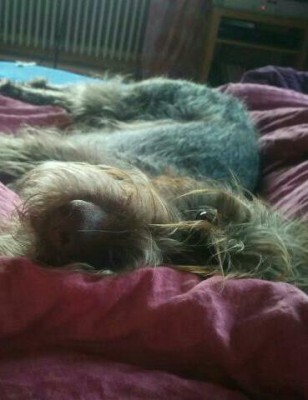 2011-02-10 08.29.02-1-1-1.jpg