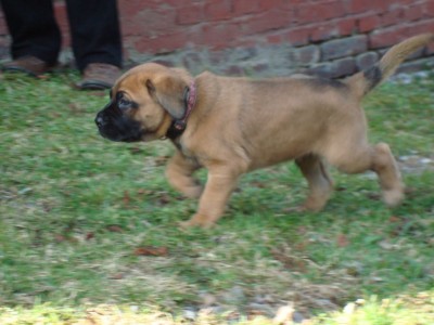 DSC04409.JPG