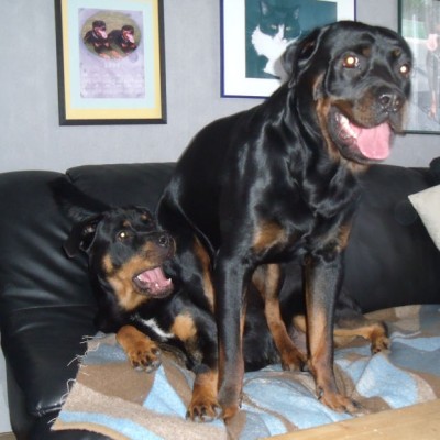 Amy_Balou01_09.04.2011.jpg