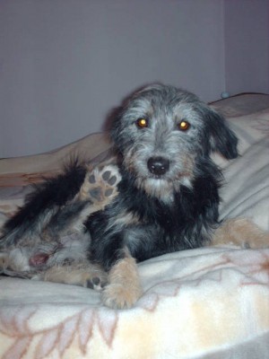 BILDER 2011 105.jpg