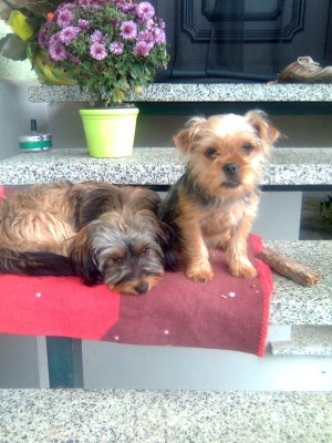Bild0034.jpg