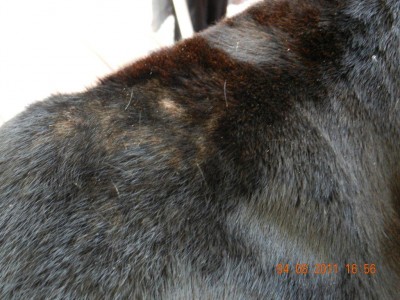 DSCN0108.jpg