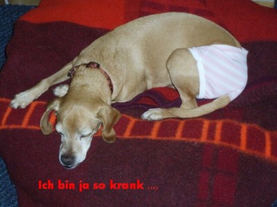 Kessy krank 001.jpg