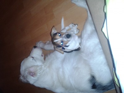 2011-08-21 22.18.26.jpg
