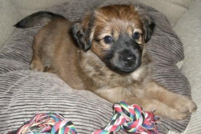 2009-01-16. - Annie.jpg