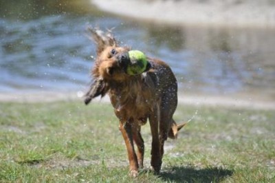 2010-06-03. - Annie.jpg