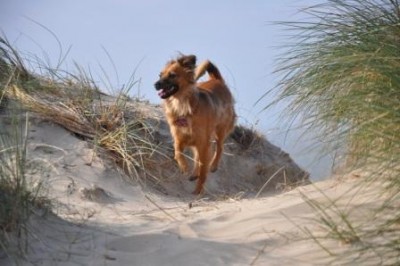 2010-10-12. - Annie.jpg