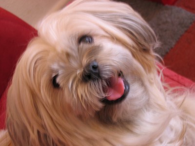 IMG_3303.JPG (372.58 KiB) 5819-mal betrachtet IMG_3303.JPG