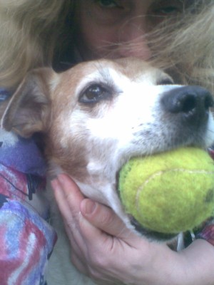 006.jpg (205.65 KiB) 12415-mal betrachtet 006.jpg