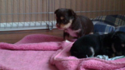 06112011039.JPG