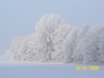 Bild 379.jpg