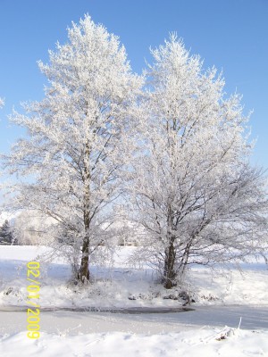 Bild 387.jpg