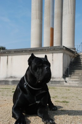 Xanten Domina 052.JPG