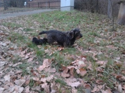 2011-11-17 15.21.12.jpg (131.42 KiB) 12208-mal betrachtet 2011-11-17 15.21.12.jpg