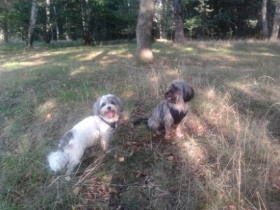 2011-09-11 17.49.29.jpg (142.24 KiB) 6063-mal betrachtet 2011-09-11 17.49.29.jpg