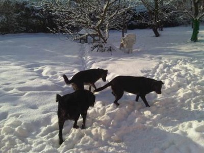 wo noch richtig winter war.jpg (33.9 KiB) 14936-mal betrachtet wo noch richtig winter war.jpg