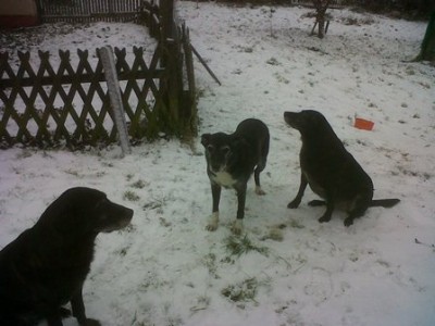 IMG00005-20111218-1121.jpg (41.27 KiB) 14936-mal betrachtet IMG00005-20111218-1121.jpg