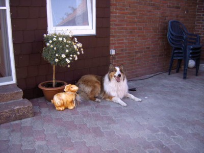 IMG10076.JPG (45.8 KiB) 10538-mal betrachtet IMG10076.JPG