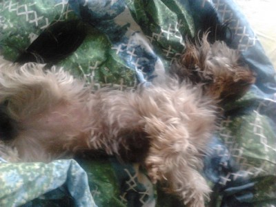 2011-11-08 07.47.28.jpg (113.11 KiB) 3678-mal betrachtet 2011-11-08 07.47.28.jpg