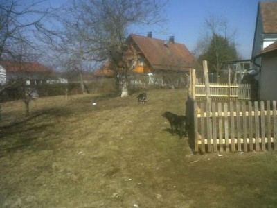 neuer zaun für gemüsegarten.jpg