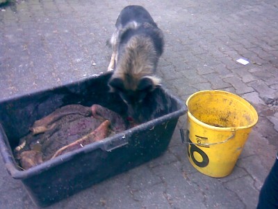 Bild004.jpg