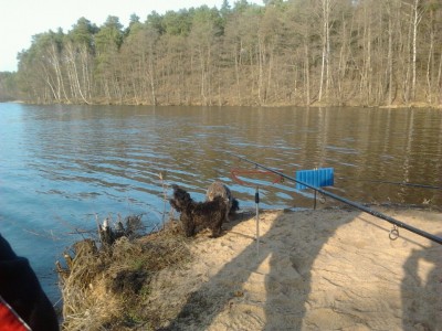 Maddy am Schwansee.jpg