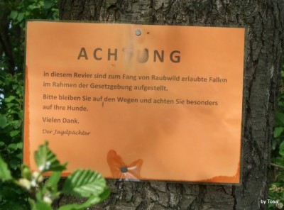 DSCF1200.JPG