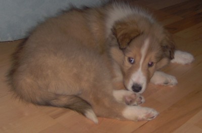 2007-01-11 Grace.jpg