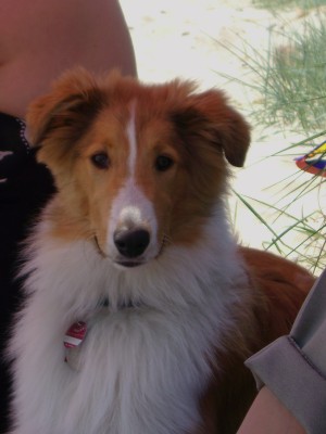 2007-06-06 Grace.JPG