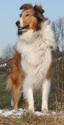 2012-02-05 Grace.JPG