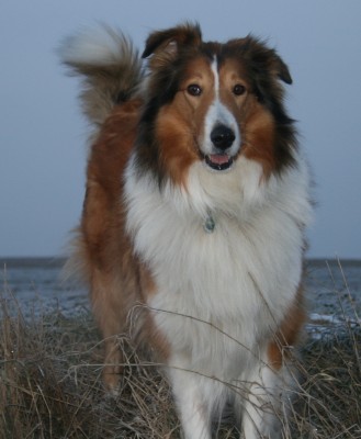 2012-02-04 Grace.JPG